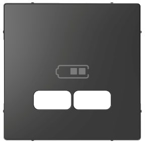 Merten D-Life USB Prz Tuş Kapağı Antrasi-3606480996368