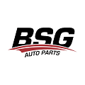 BSG Auto Parts