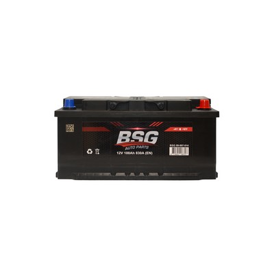 Bsg 12V 100Ah Starter Smf Battery ( Production Date: 2021 )
