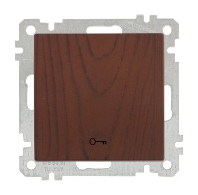 Door automatic walnut with clips