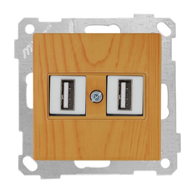 Mec+key data socket 2*USB Oak