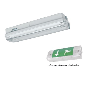 Pelsan-Emergency Lighting and Direction Luminaires-5W 6500K Surface Mounted