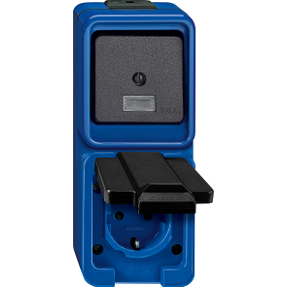 Combination SCHUKO socket/double-way switch, blue, SHOCK RESISTANT-4011281142453