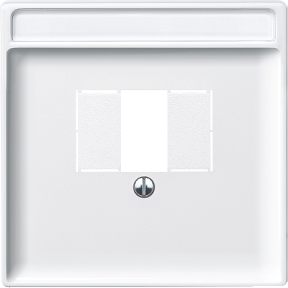 Center plate for TAE/Audio/USB, polar white, System Design-4011281808304