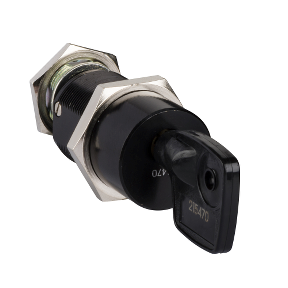 Profalux Key Lock - For Masterpact Nt - Off - 2 Same Keys - 215470-3303430331742