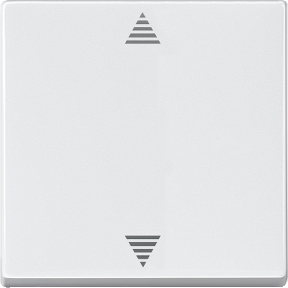 Sensör bağlantılı kör buton, kutup beyazı, System M-4011281896080