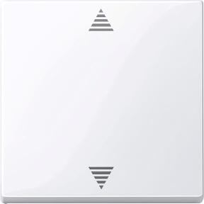 Sensör bağlantılı kör basma düğmesi, aktif beyaz, parlak, System M-4042811044053