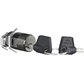 DISCON. LOCKING 1PROFALUX KEYLOCK MTZ2-3 - Mechanical lock - vertical / horizontal connection with rod adaptation plate for fixed and withdrawable type MTZ2/3 -3606480807725