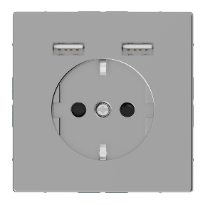 Type A+A 2,4A Usb Grounded Socket Stainless Steel, System Design-3606489429904