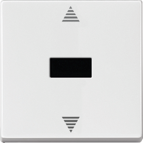 Kızılötesi alıcı ve sensör bağlantılı kör basmalı düğme, kutup beyazı, System M-3606485009797