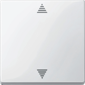 Sensör bağlantılı kör buton, kutup beyazı, parlak, System M-3606485104799