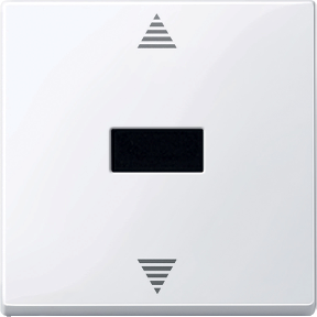 IR alıcı ve sensör bağlantılı kör basma düğmesi, aktif beyaz, parlak, System M-3606485099316