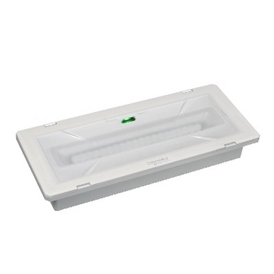 Luminaire Smartled 1 hour discontinuous 610lm, IP65-3606480894220
