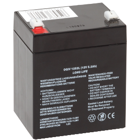 Exiway Power Control 12V/45Ah battery-3606480699269