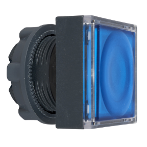 Blue Square Recessed Illuminated Push Button Head For Integrated Led Ø22 Push-Push-3389110177381